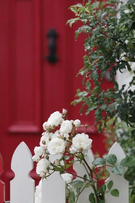 Writer'S Cottage, Luxurious Oasis In The Heart Of North Hobart