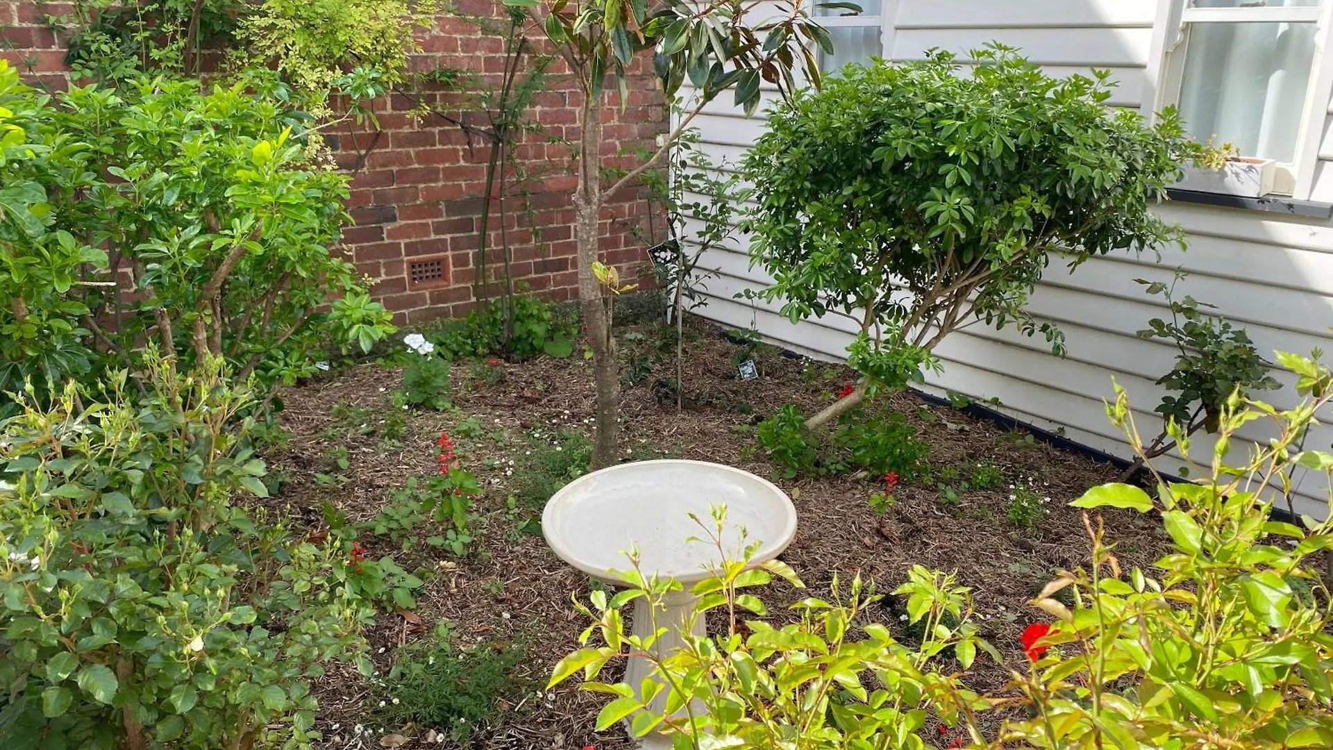 Writer'S Cottage, Luxurious Oasis In The Heart Of North Hobart Nyaraló